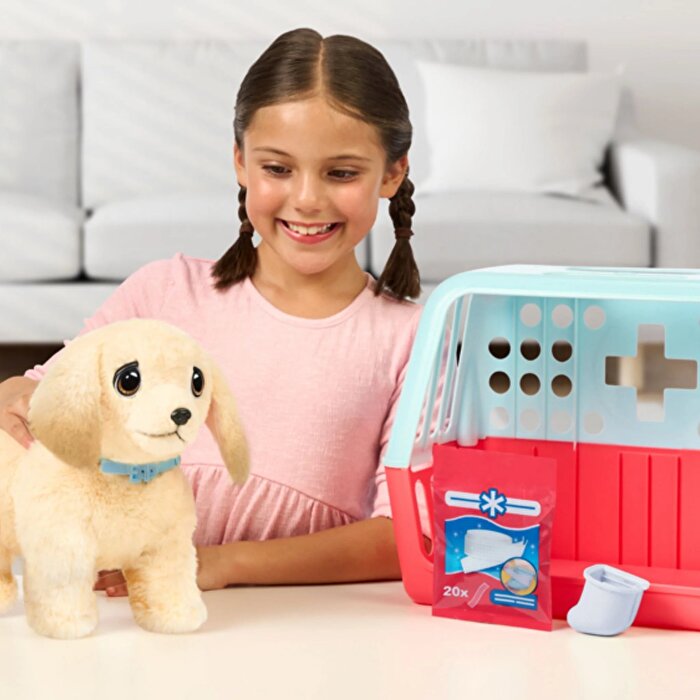 LLP Yavru Köpek İyileşiyor 26679