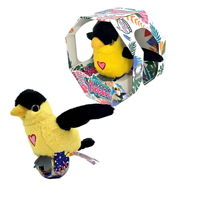 Happy Yappers Slap Bant Konuşan ve Taklit Eden Oriolus Papağan