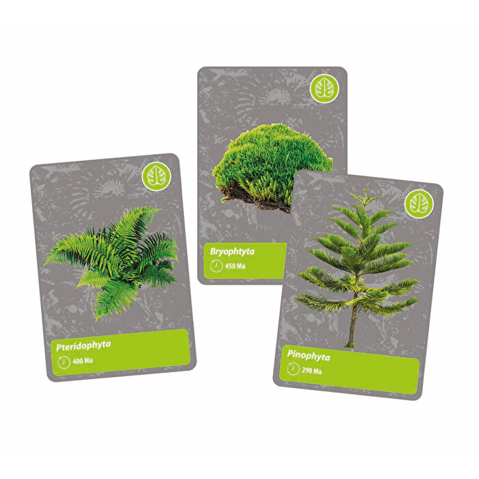 Clementoni Bilim ve Oyun: Dünyada Yaşamın Tarihi