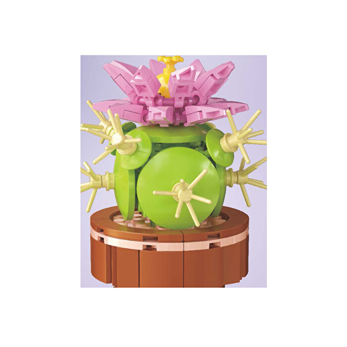 Mega Bitki Çiçekleri Kaktüs 181 Parça