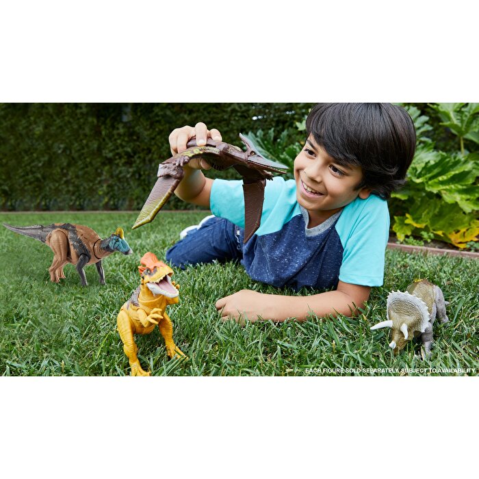 Jurassic World Dinozor Figürleri Lekeli Kanatlı Ptenranodon (GJN68)