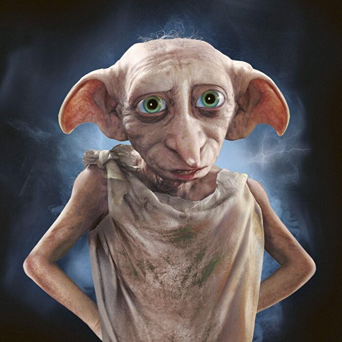 Harry Potter Hafıza Oyunu