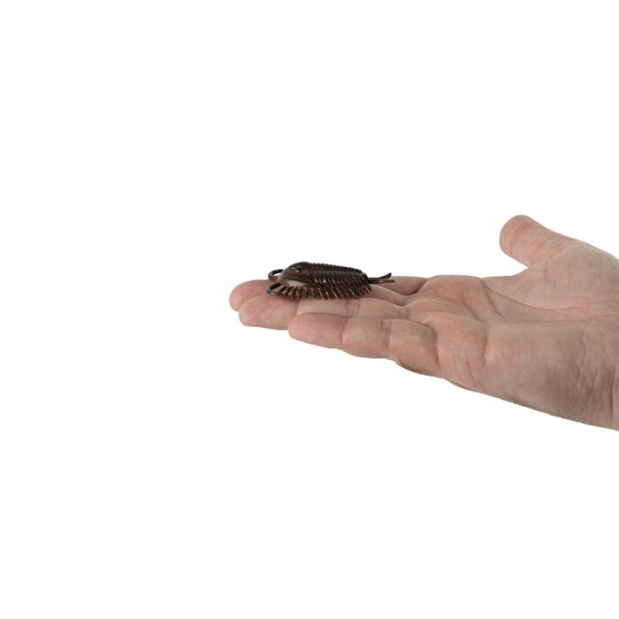 6'lı Okyanus Canlıları Hayvan Seti 1