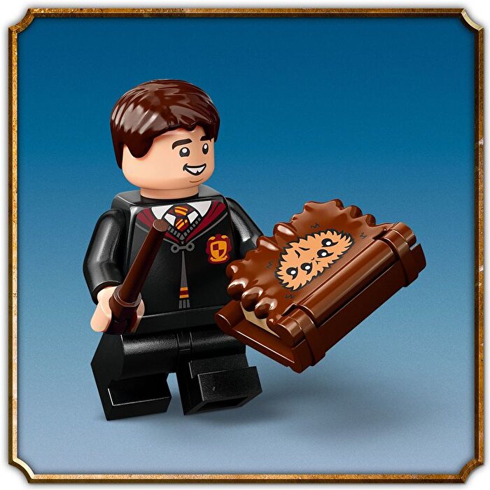 LEGO Harry Potter Isıran Canavar Kitap 76449