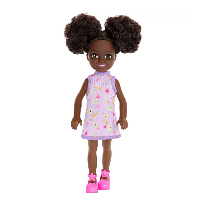 Barbie Aksesuarlı Chelsea Bebekler HXM96