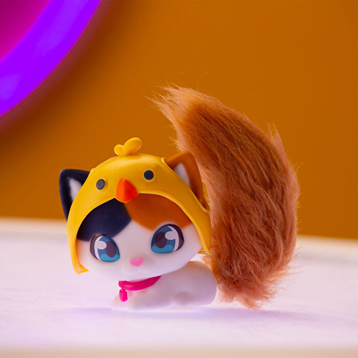 QT Kitties Oli Yavru Kedİ