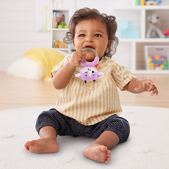 Fisher Price Örgü Dişlik Seti Keçi GRR04