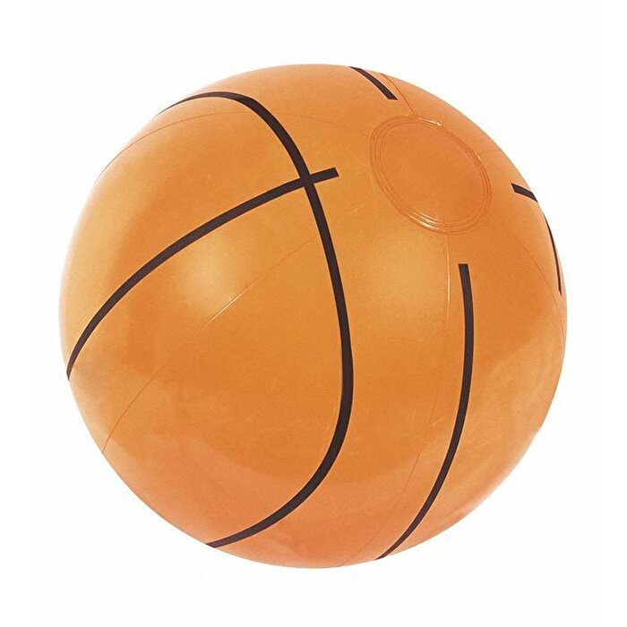Bestway Basketbol Deniz Topu