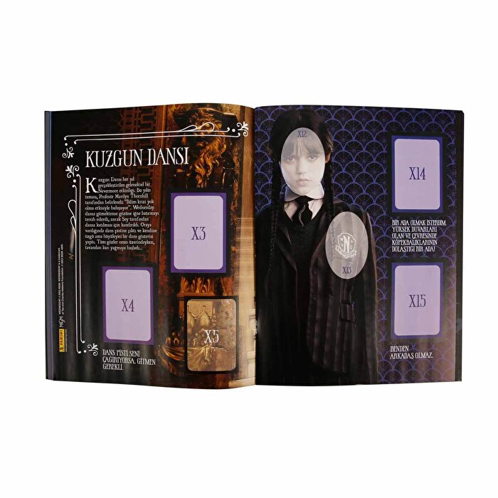 Panini Wednesday Çıkartma Albümü