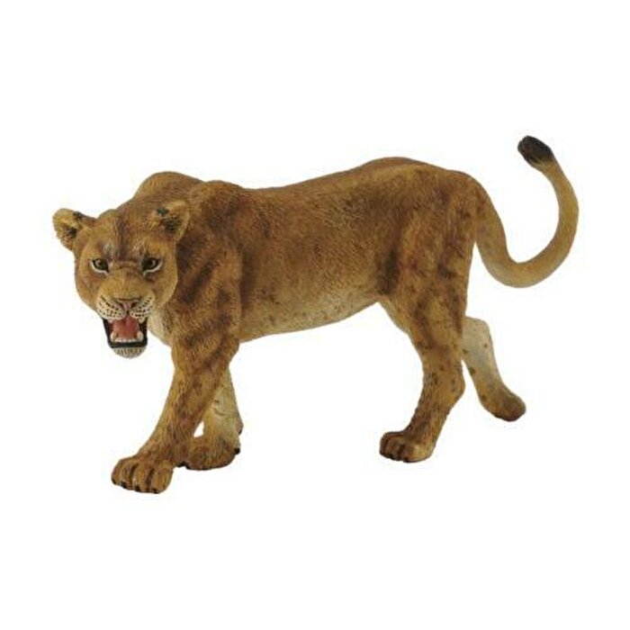 Collecta Dişi Aslan