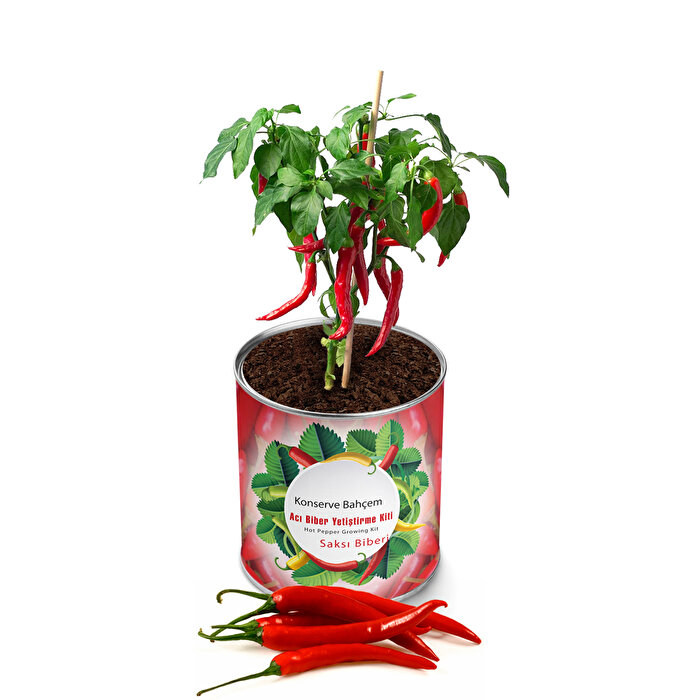 Konserve Bahçem Acı Biber Saksı Biberi Yetiştirme Kiti
