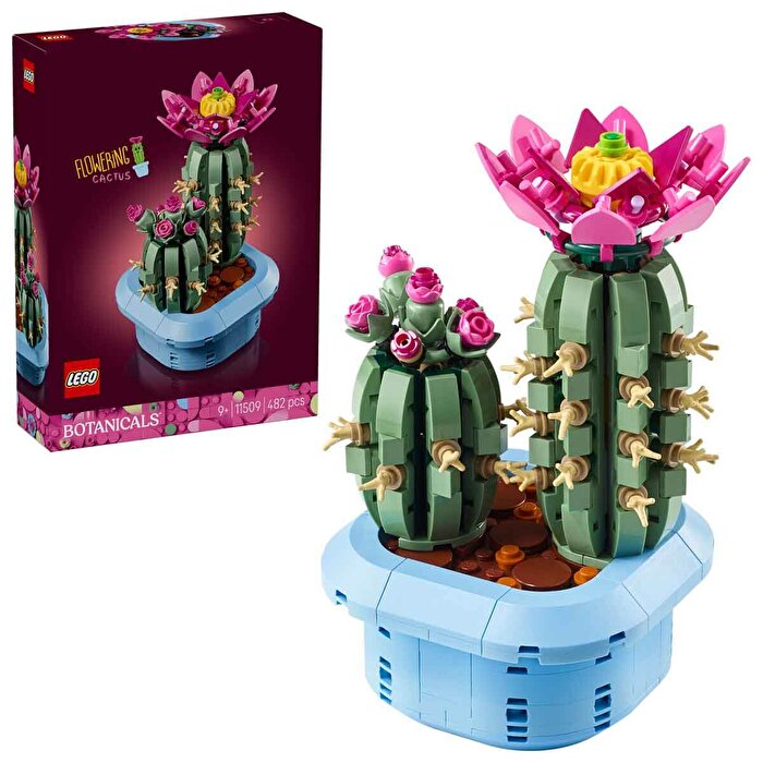 LEGO Botanicals Çiçekli Kaktüs 11509