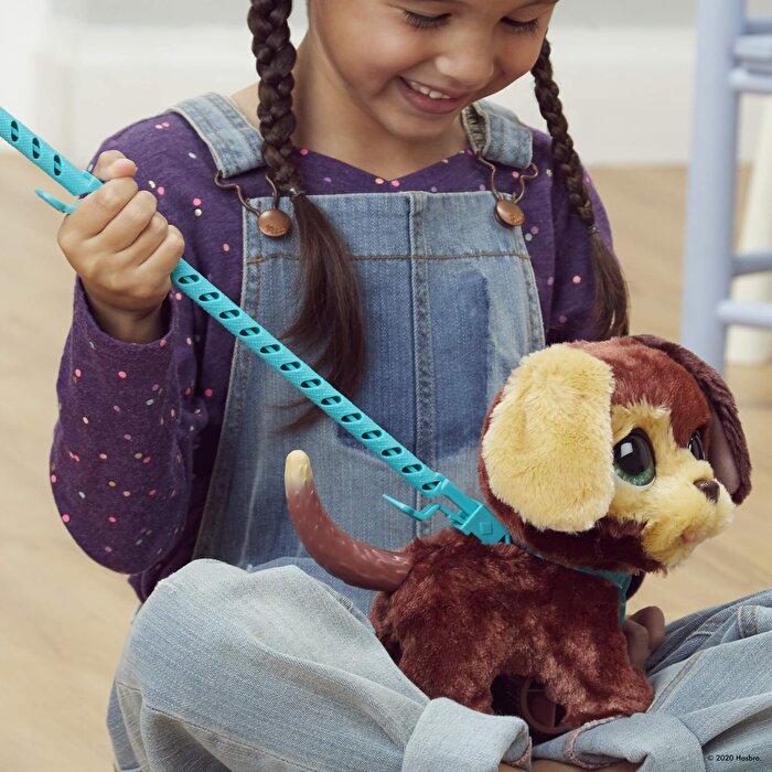 Yürüyen Dostlarım Kahverengi Köpek F1996