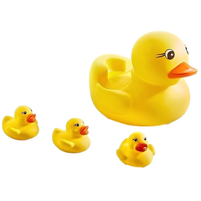 Filede Sevimli Ördek Ailesi