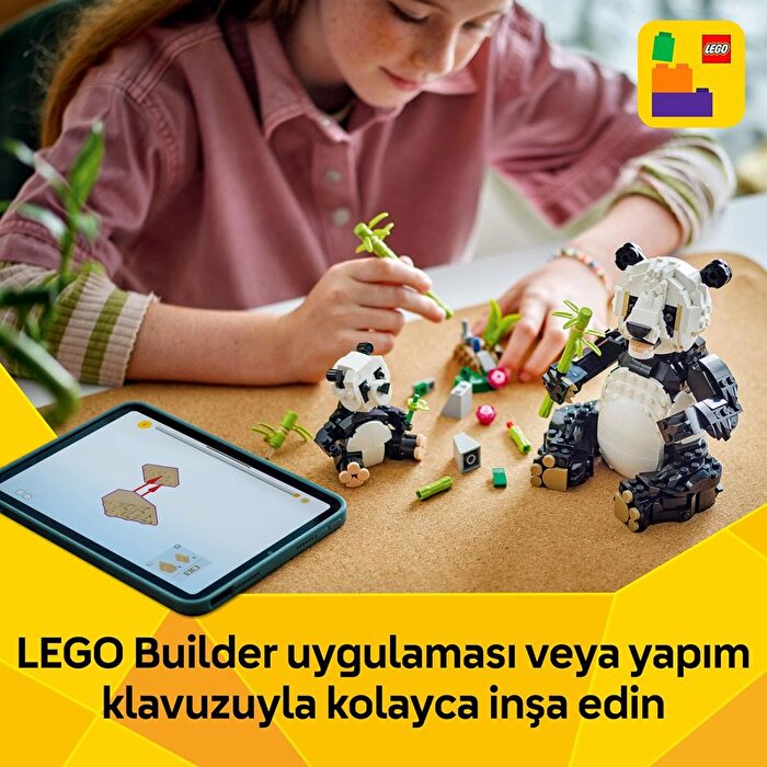 LEGO Creator 3'ü 1 Arada Vahşi Hayvanlar: Panda Ailesi 31165