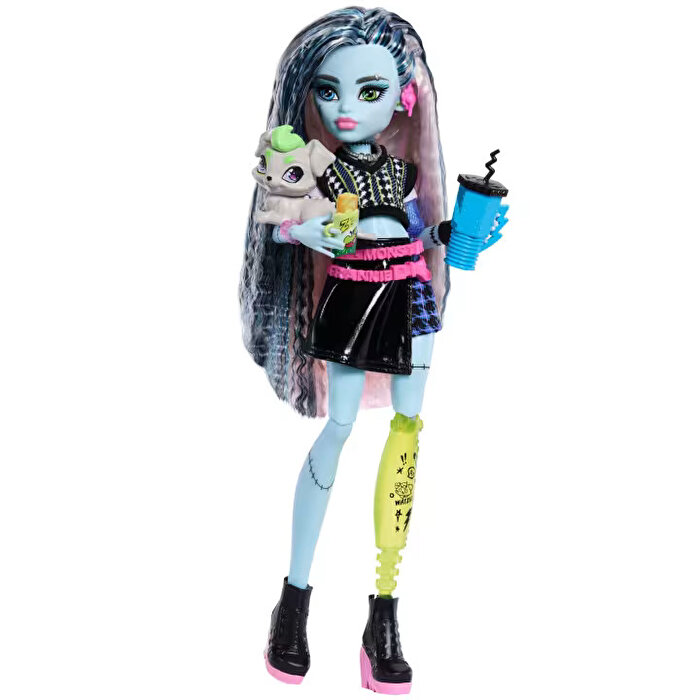 Monster High Ana Karakter Bebekler Frankiestein JHK31