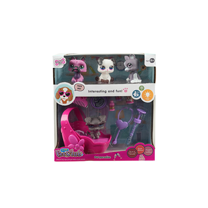 Kutuda 4'lü Köpek Miniş Seti Aksesuarlı Lucky