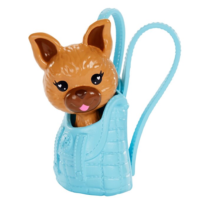 Barbie Color Reveal  Sürpriz Hayvanlar Seri 1 GPD25