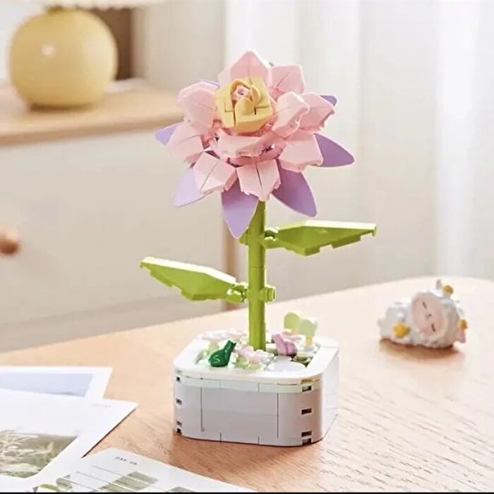 Saksıda Çiçek Yapım Seti Epiphyllum Cactus