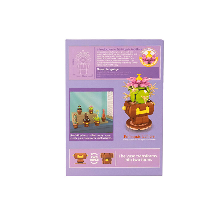 Mega Bitki Çiçekleri Kaktüs 181 Parça