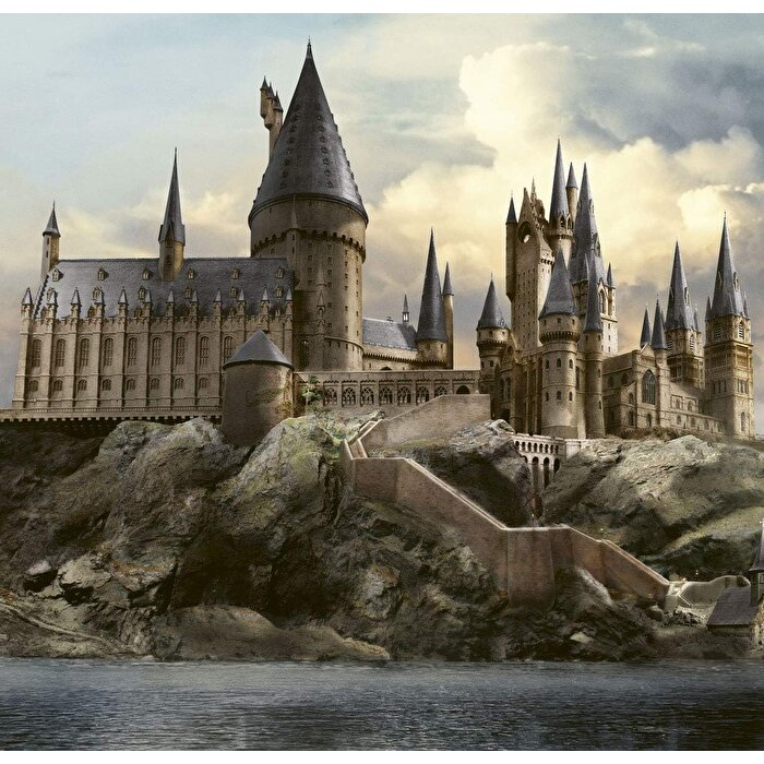 Harry Potter Hafıza Oyunu