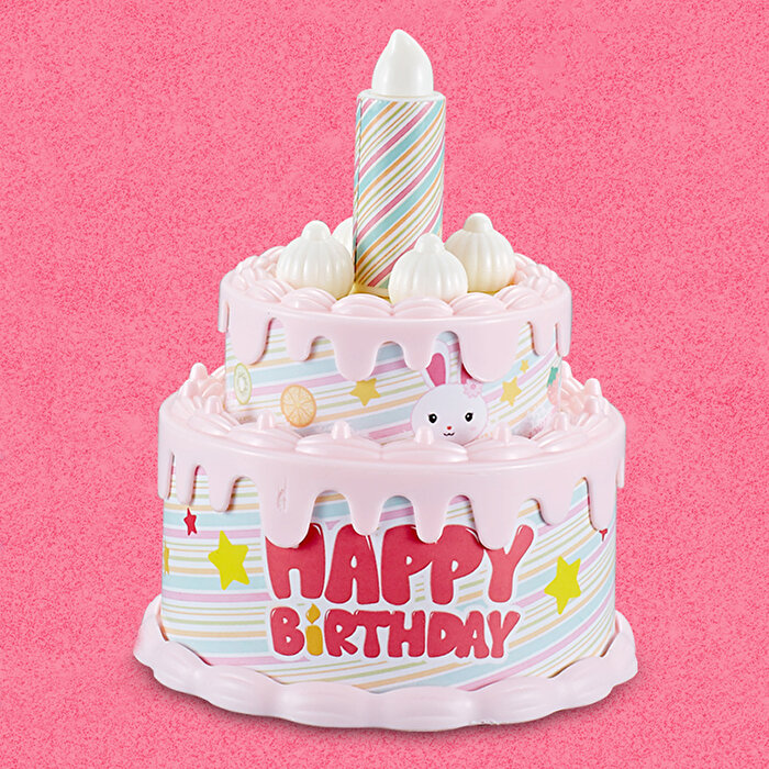 Bay Dreamy Mini Tavşan Doğum Günü Partisi