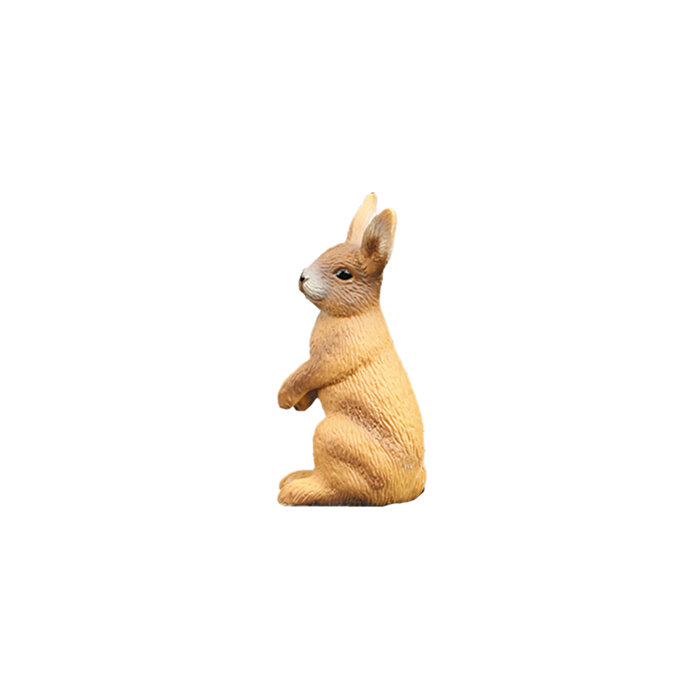 Vahşi Hayvanların Dünyası Ayakta Tavşan