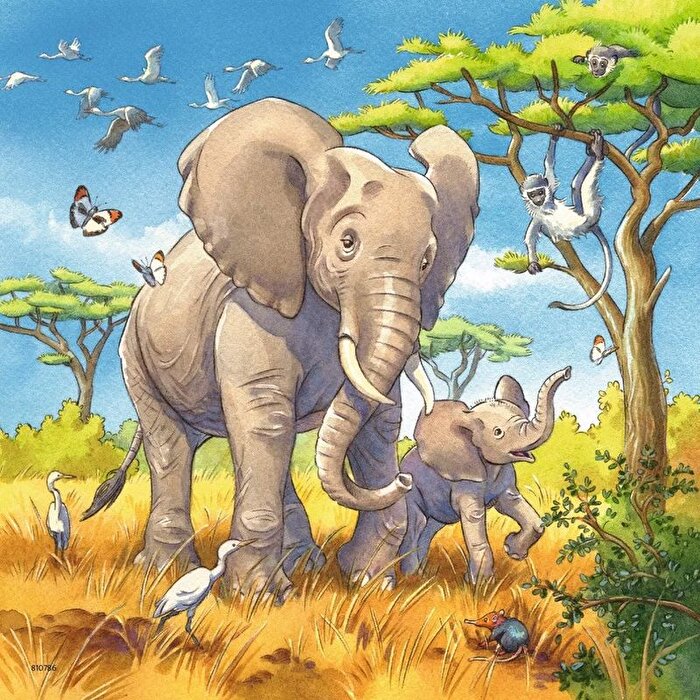 Ravensburger Wild Animals Puzzle 49x3 Parça