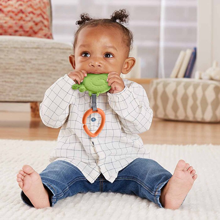 Fisher Price Sevimli Hayvancıklar Dişlikler Yeşil Salyangoz GYV37