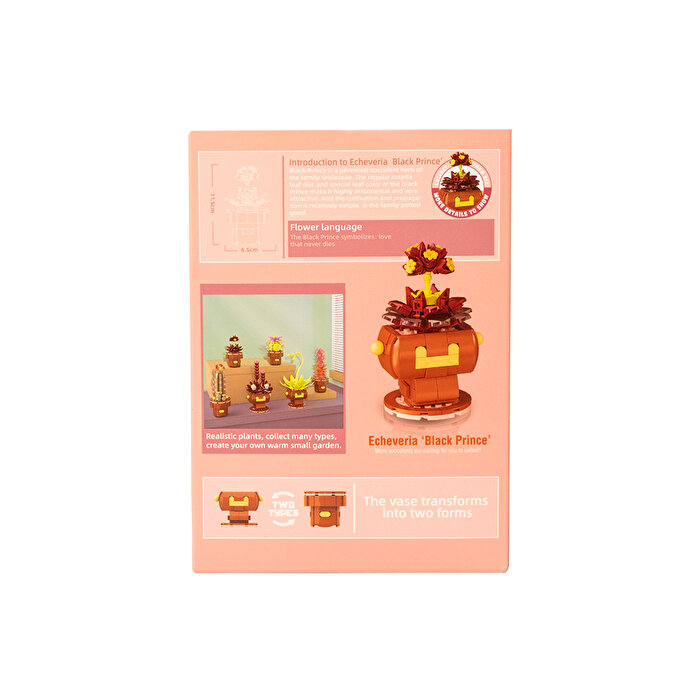 Mega Blok Çiçek Saksıda Sukulent 166 Parça