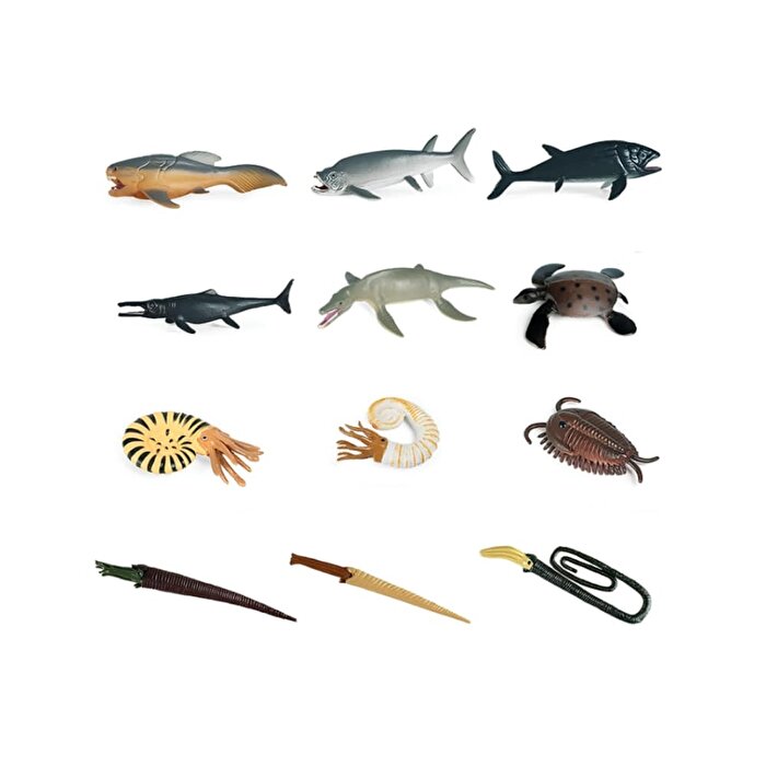 6'lı Okyanus Canlıları Hayvan Seti 1