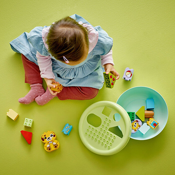 LEGO Duplo Şekil Ayırıcı: Köpek Evi 10441