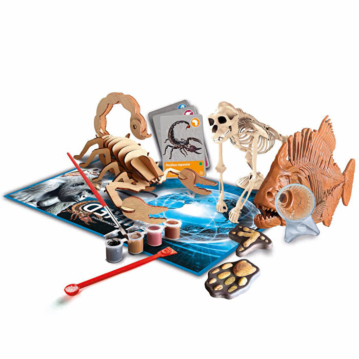 Clementoni Bilim ve Oyun: Dünyadaki Hayvanların Tarihi