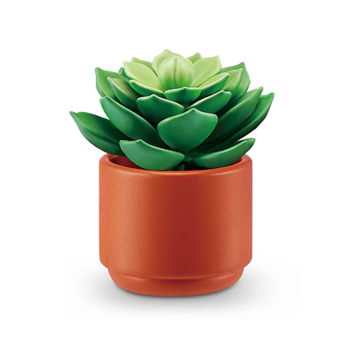 Mini Botanik Bahçe Sürpriz Paket