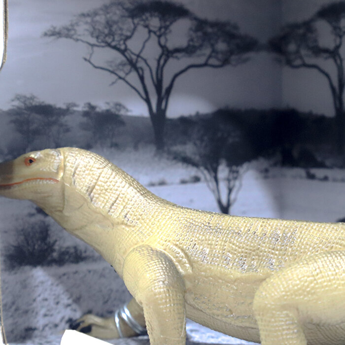 Animal World Sürüngen Serisi