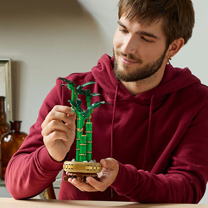 LEGO Botanicals Şans Bambusu 10344