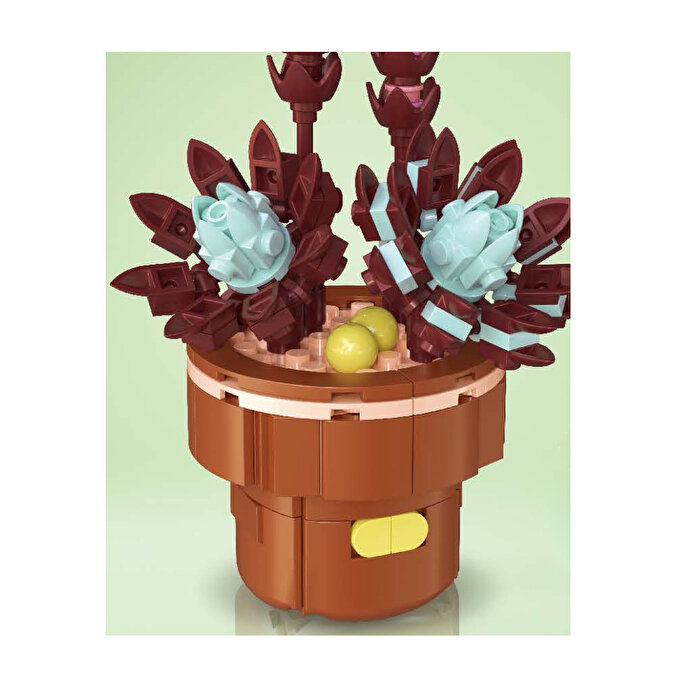 Mega Bitki Çiçekleri Sukulent 188 Parça