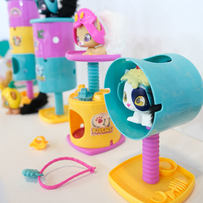 QT Kitties Oli Yavru Kedİ