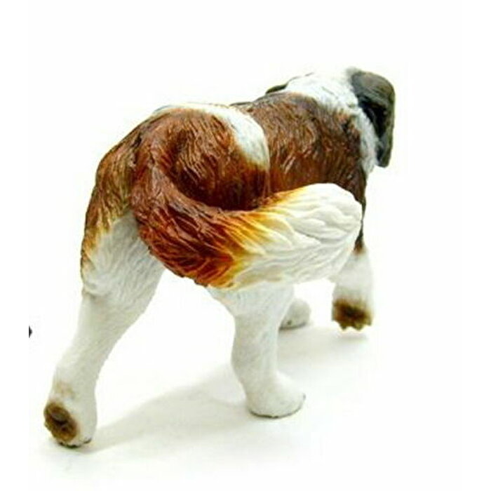 Collecta St Bernard