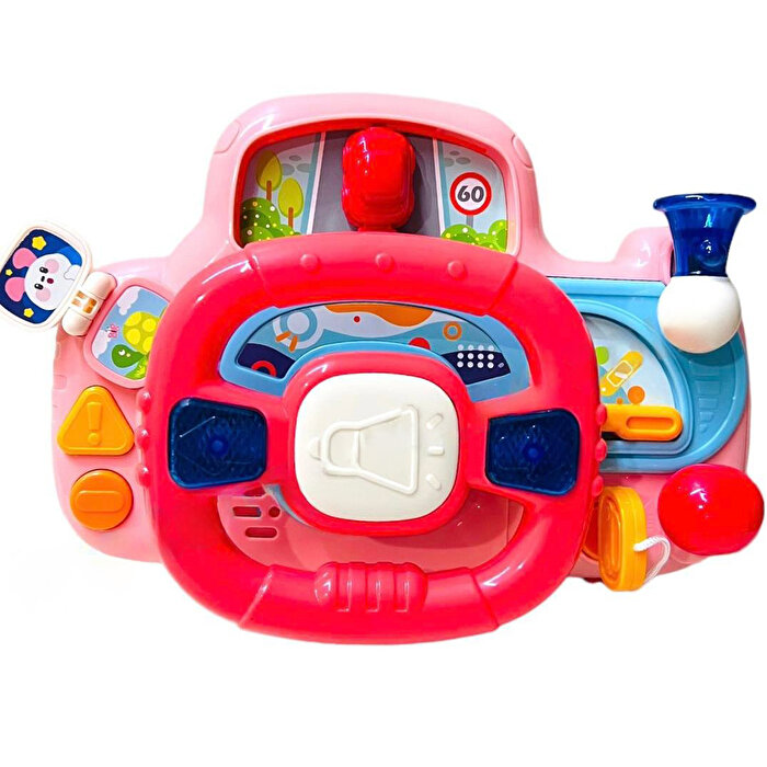 Babycim İlk Sürücüm