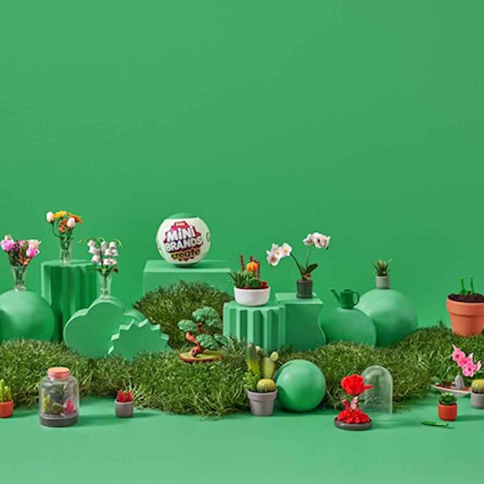 Mini Botanik Bahçe Sürpriz Paket