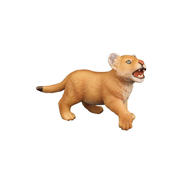 Vahşi Hayvanların Dünyası Yavru Aslan