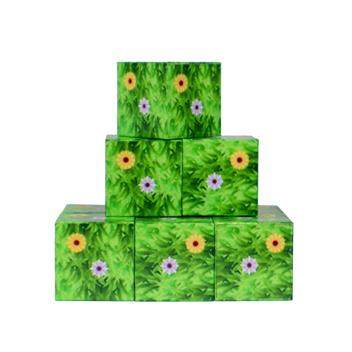 Magnivity Manyetik Bloklar Çiçekli Çim Desenli Blok