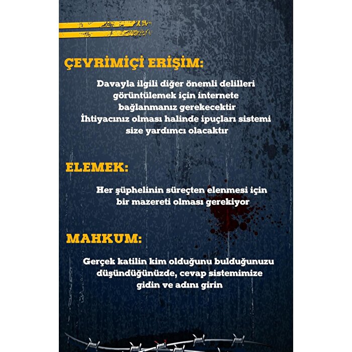 Çözülmemiş Davalar Akıl Hastanesi Dedektif Oyunu