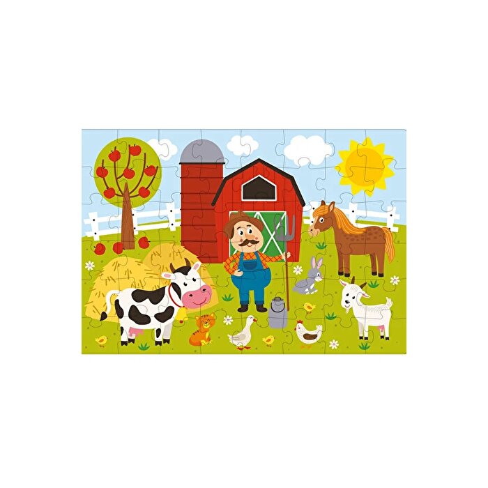 4'ü 1 Arada Puzzle Seti