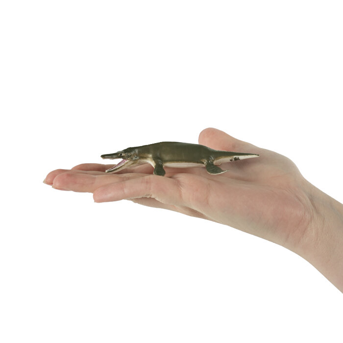 6'lı Okyanus Canlıları Hayvan Seti 2