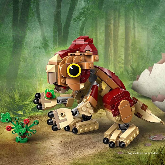 LEGO Jurassic World Yavru Dinozor Dolores: Aquilops 76970