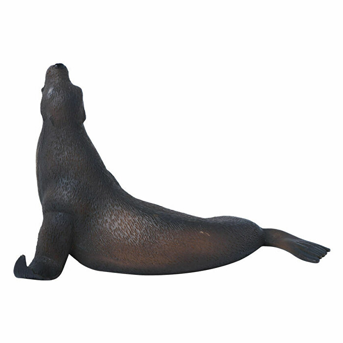 Collecta Deniz Aslanı