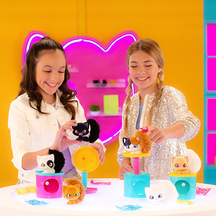 QT Kitties Candy Yavru Kedi