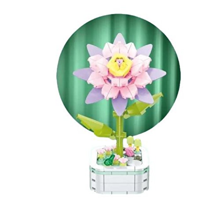 Saksıda Çiçek Yapım Seti Epiphyllum Cactus